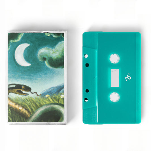 8BIT WIZRD "Snake in the Grass" Cassette Tape